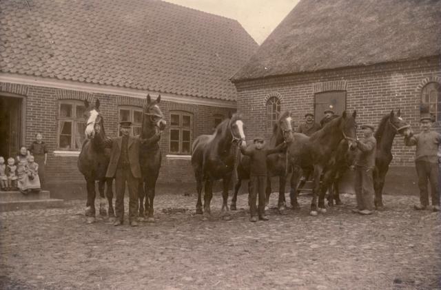 Damhøjgård - 1916 (B3870)