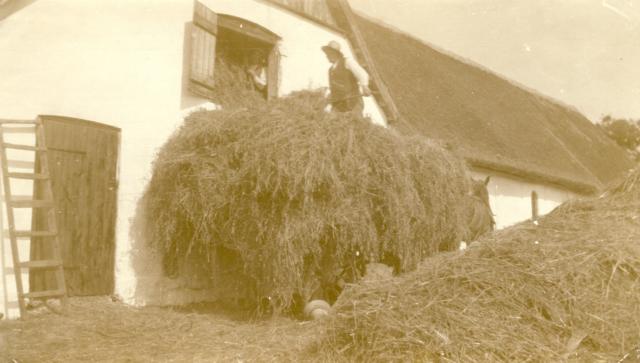 Høstarbejde på Kjeldsgård, Bråde - 1920 (B4014)