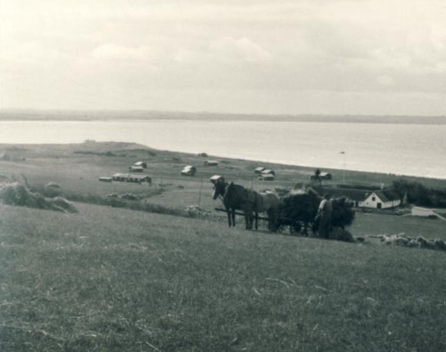 Udsigt over B.W. kolonien ved Sejerø Bugt - 1940'erne (B4041)