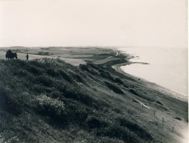 Der pløjes ved Ebbeløkke Strand - 1950 (B4087)