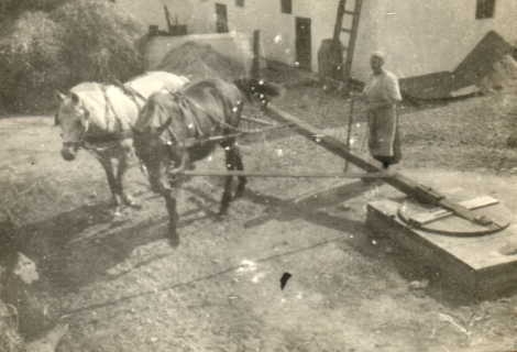 Jensen, Anna, Gniben - Kører hesteomgang, som trækker tærskeværket - 1930'erne (B86)