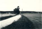 Egebjergvej ved Lestrup - ca. 1920 (B4126)