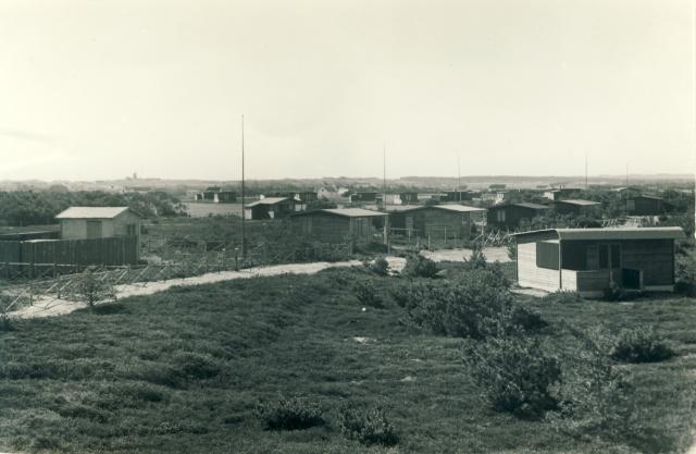 Sommerhusområde på Ellinge Lyng - 1955 (B4241)