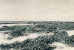 Badeliv på stranden - ca. 1960 (B4254)