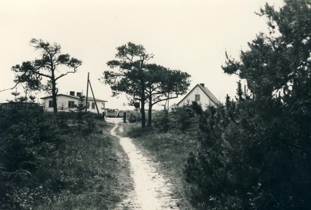 Vejen til stranden, Ellinge Lyng - 1960 (B4266)