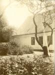 Haven i Vig Præstegård - ca. 1900 (B4400)