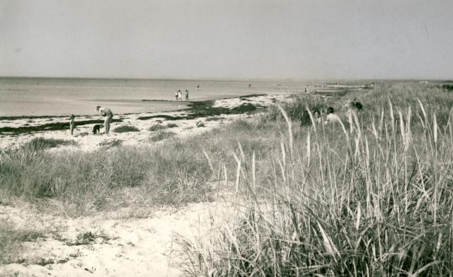 Stranden ved Jyderup Lyng - ca. 1935 (B4898)