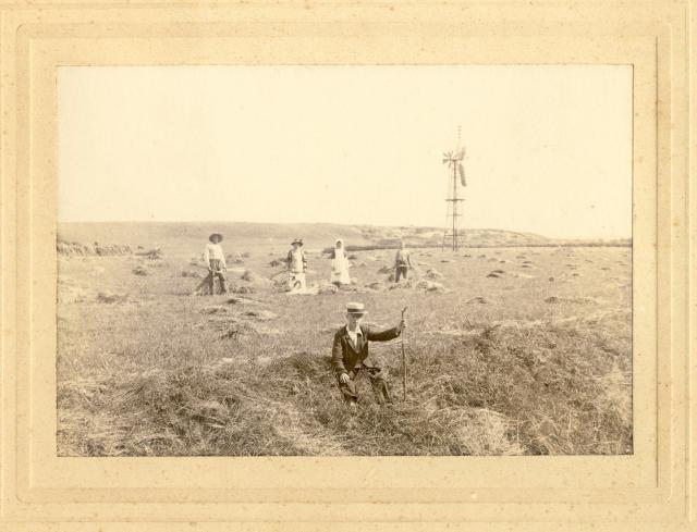 Høstarbejde ved Klint - ca. 1905 (B4950)