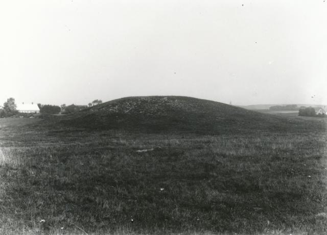 Ukendt gravhøj. Antagelig Asnæs sogn - ca. 1920 (B4989)