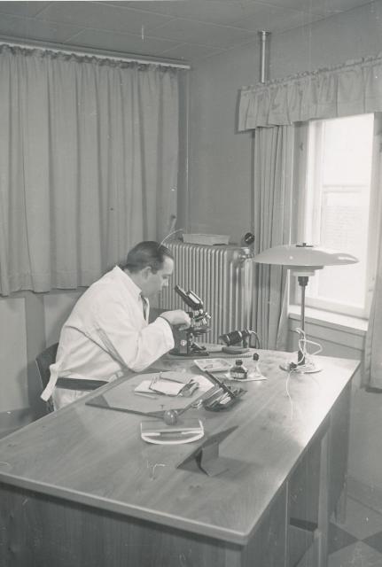 Kontorlokaler ca. 1957 (B92420)