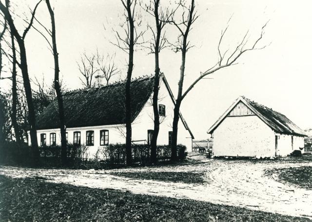 Skovly i Klint - ca. 1915 (B5113)