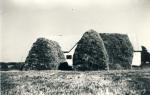 Stenvang bag høstakke - 1964 (B5128)