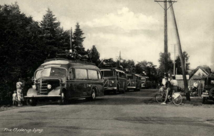 Jyderup Lyng - turistbusser - 1955 (B331)