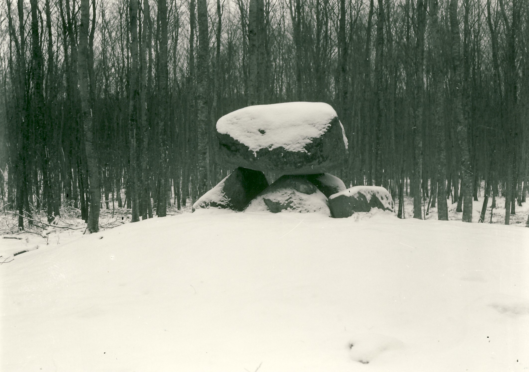 Gravhøj i Kongsøre Skov - ca. 1945 (B5148)
