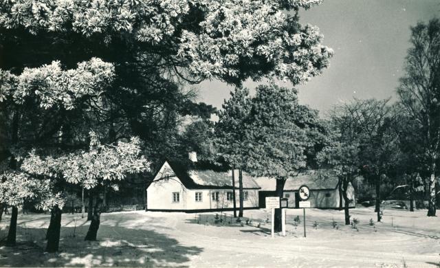Skovløberhuset - 1963 (B5280)