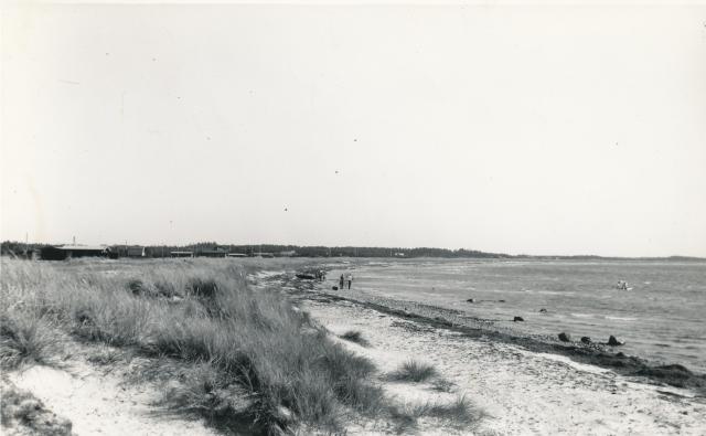 Stranden ved Nyrup - 1960 (B5644)