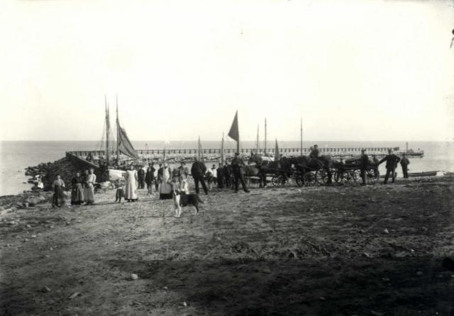 Odden Havn - bådene ventes ind - 1909 (B390)