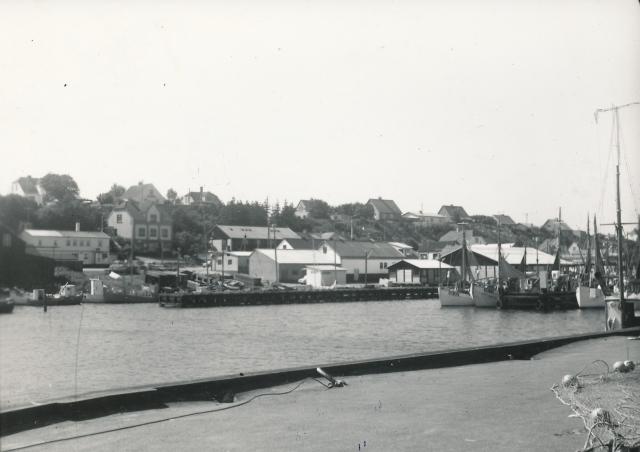 Odden Havn - ca. 1960 (B5766)