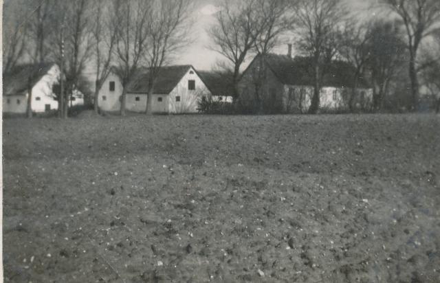 Viekærgård - ca. 1935 (B6343)