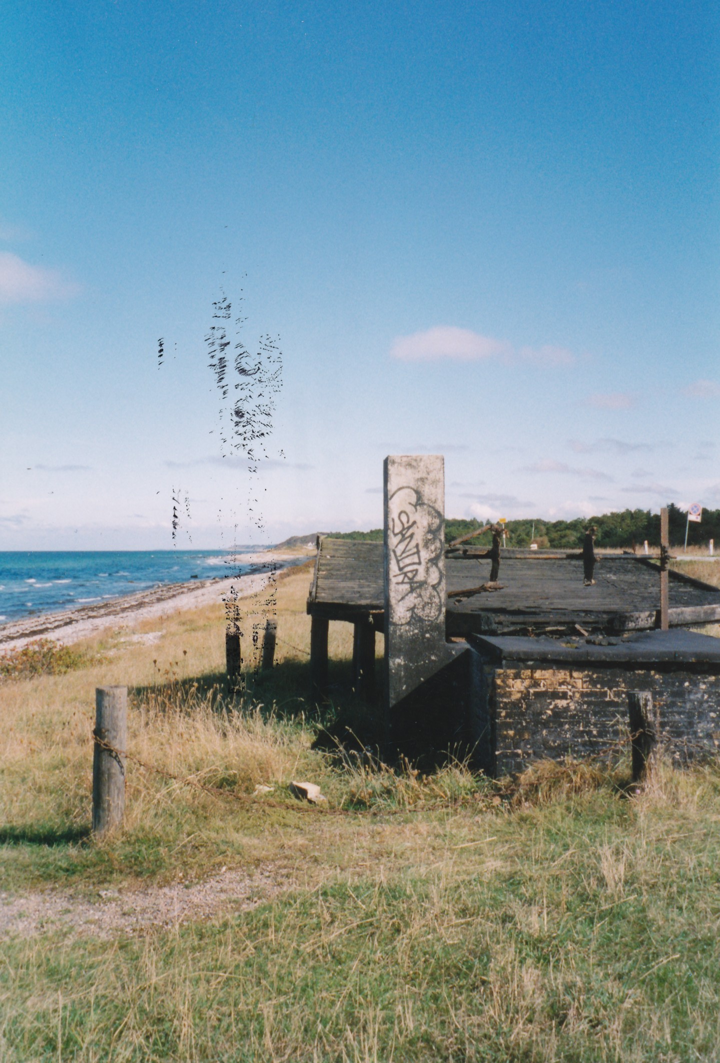 Fiskernes tjæregryde på Overby Lyng - 2003 (B6497)