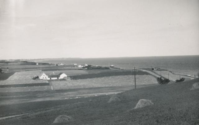 Udsigt fra Ebbeløkke over Sjællands Odde - 1945 (B6511)
