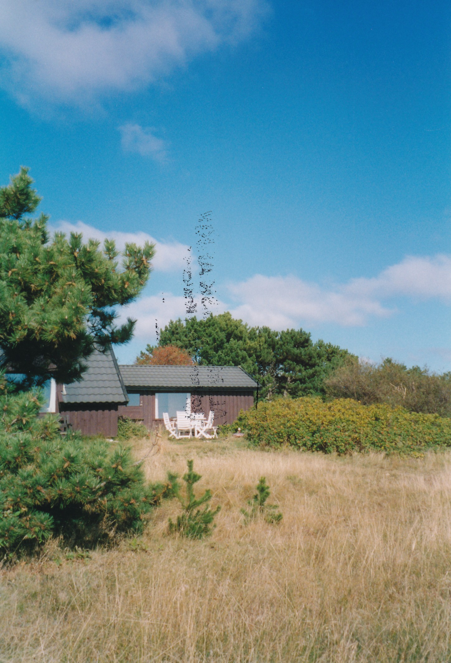 Sommerhus på Odden - 2003 (B6520)