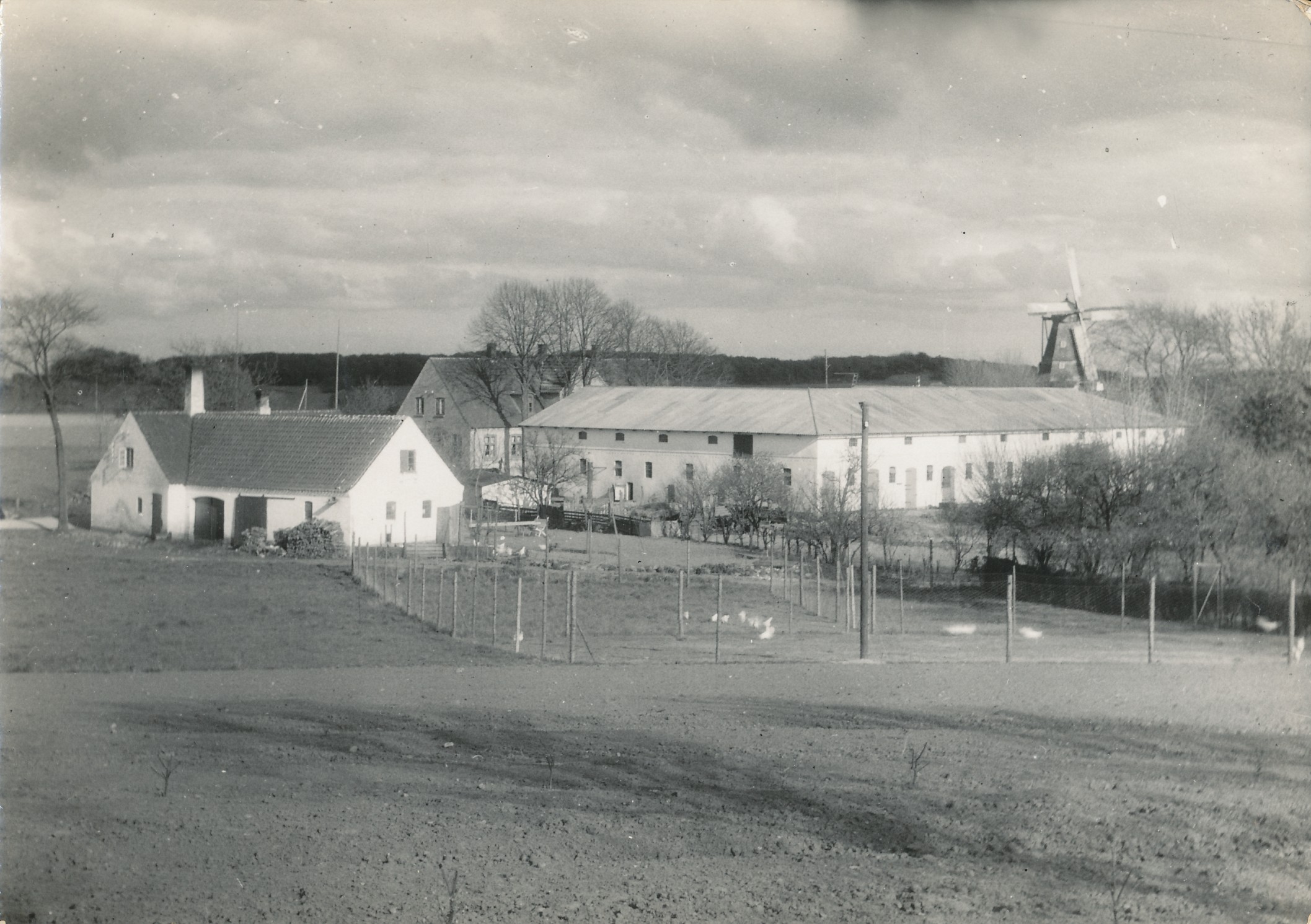 Søndergaard i Hølkerup - 1950 (B6618)