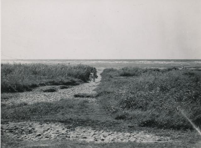 Stranden ved Sejerø Bugt - 1960'erne (B6673)