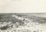 Strand ved Sejerø Bugt - 1955 (B6703)