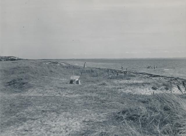 Strand ved Sejerø Bugt - 1955 (B6704)
