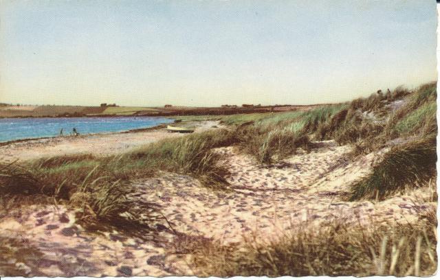 Stranden ved Gudmindrup - 1960 (B6709)