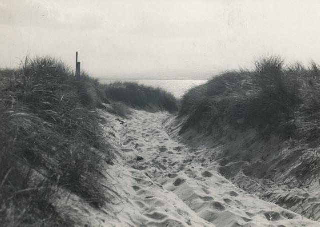 Klitter ved Gudmindrup Strand - 1955 (B6712)