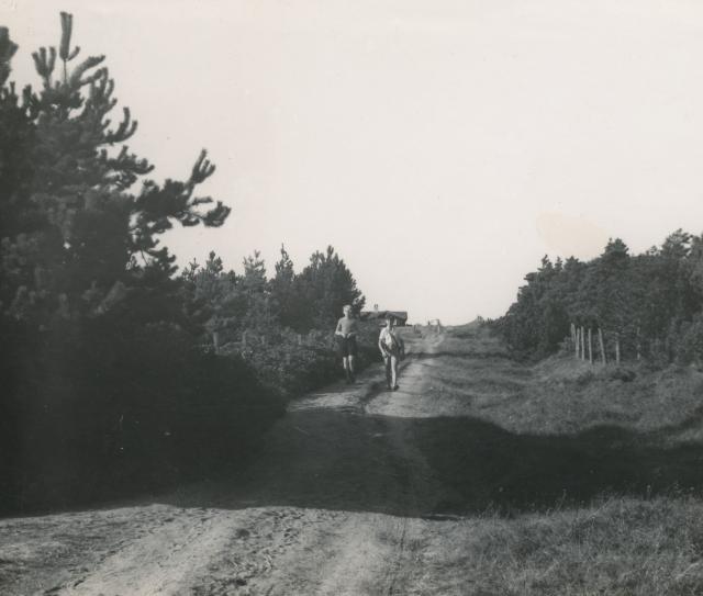 Ved Sonnerup Skov - 1955 (B6753)