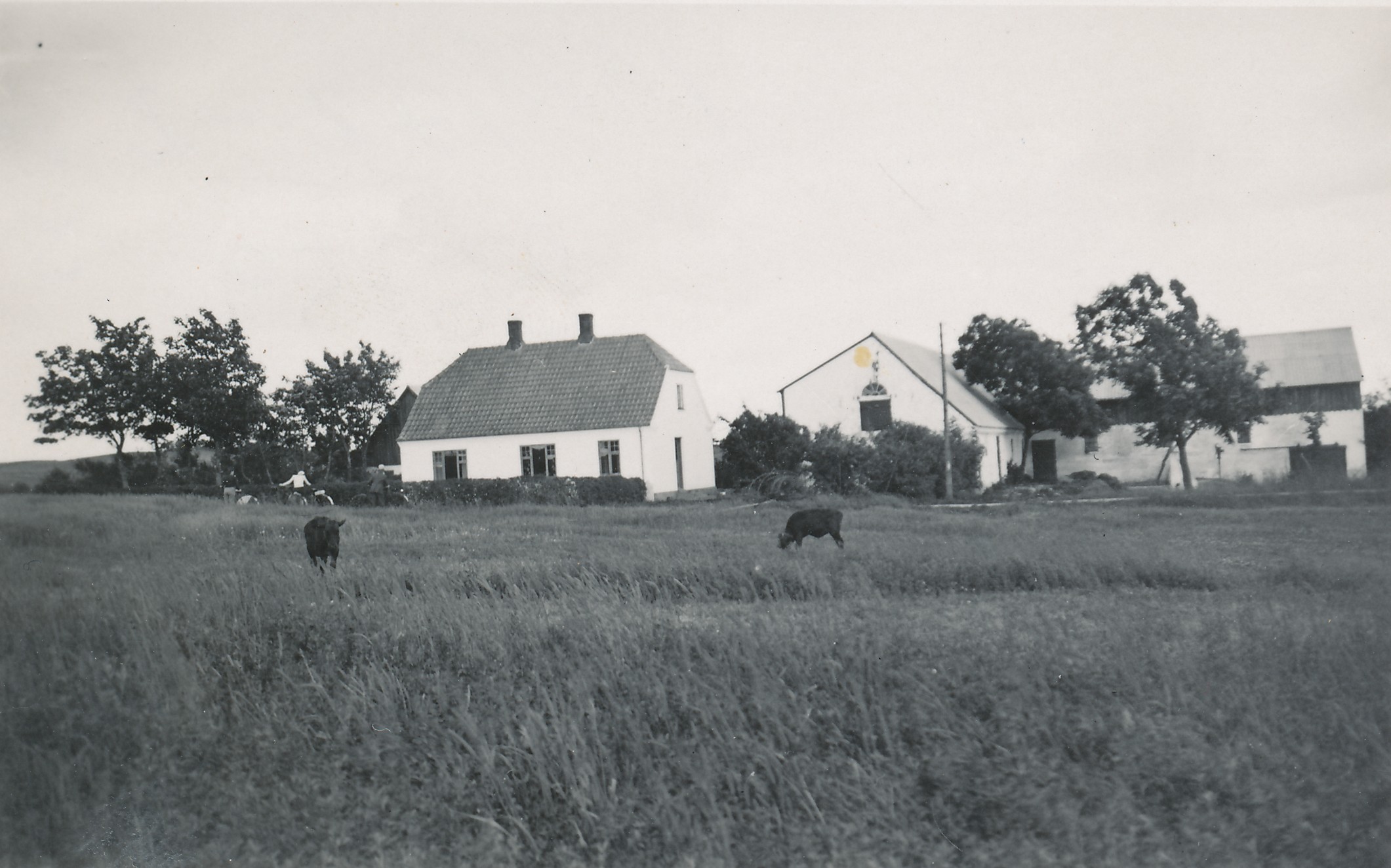 Stenagergård i Svinninge - 19. juni 1943 (B6759)