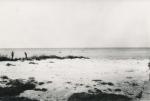 Badeliv på stranden - 1950 (B6859)