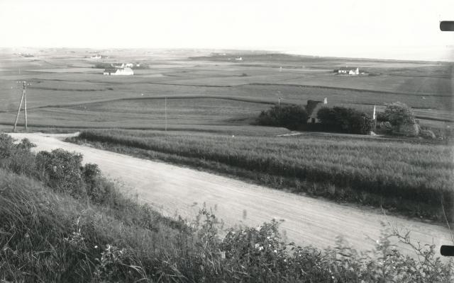Udsigt over Tengslemark Lyng fra Stenstrupvej - ca. 1935 (B7228)