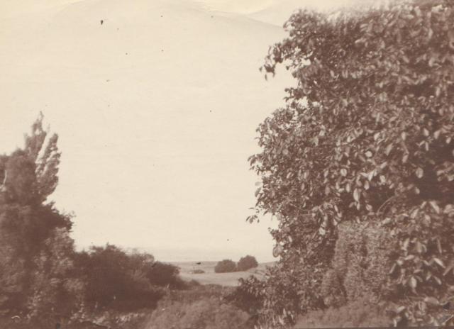 Skovridergården Mantzhøj - ca. 1920 (B7243)