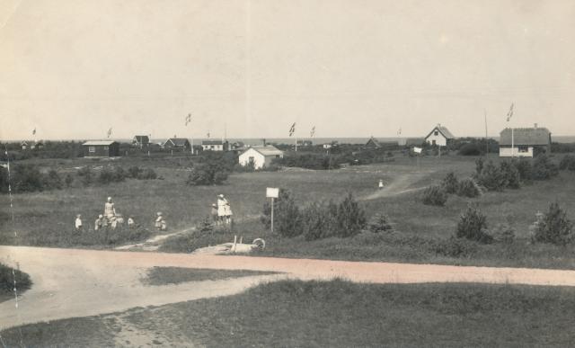 Sommerhuse ved Sejerø Bugt - ca. 1955 (B7308)