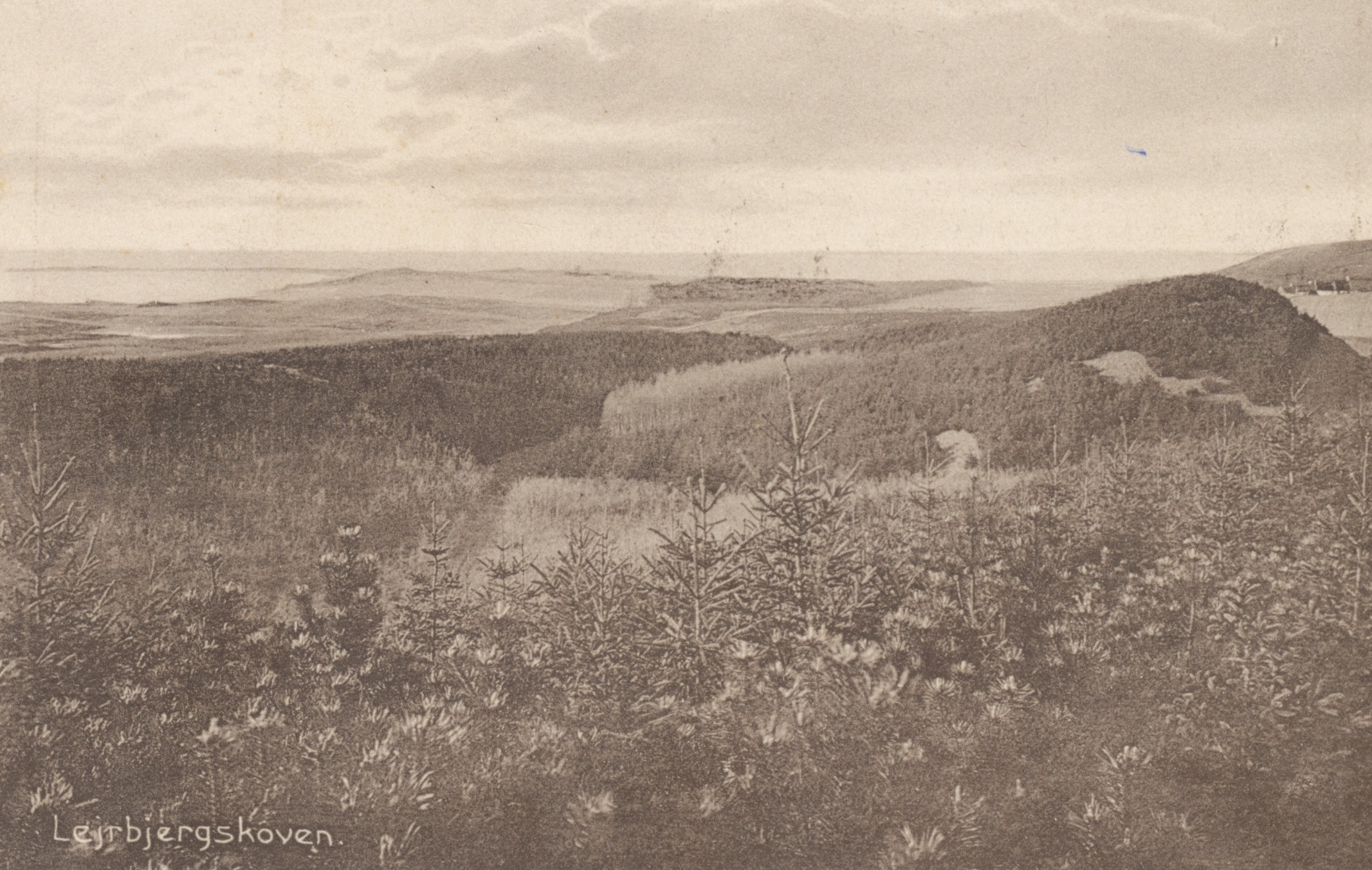 Lejrbjergskoven - ca. 1930 (B7367)