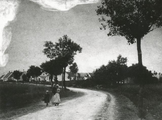 Parti fra Stubberup - ca. 1910 (B7366)