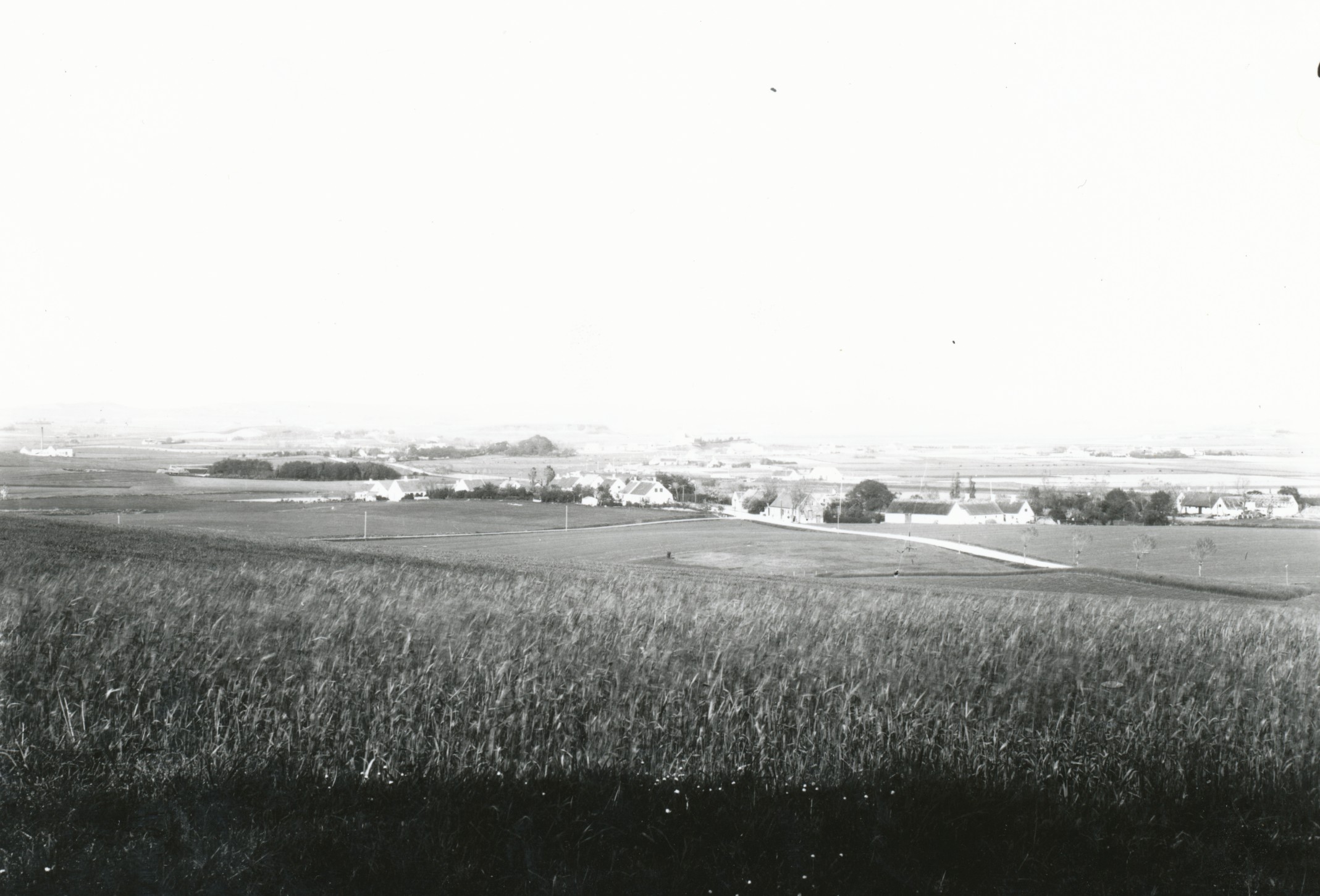 Udsigt fra Kulås Skov ved Stubberup - ca. 1920 (B3301)