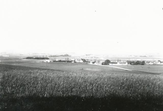 Udsigt fra Kulås Skov ved Stubberup - ca. 1920 (B3301)
