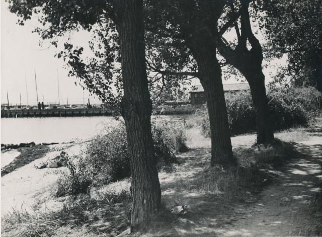 Ved Rørvig Havn - 1944 (B7792)