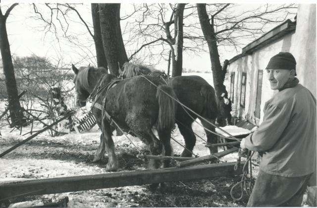 Hesteomgang - 1965 (B8084)