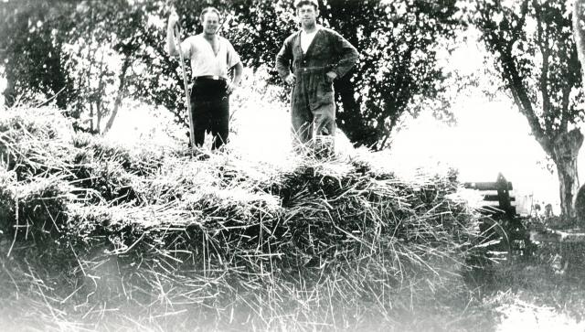 Høstarbejde på Rotoftegård, Klint - ca. 1930 (B8134)