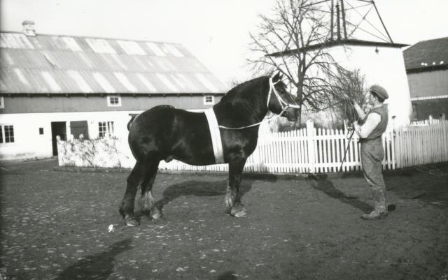 Stubberupholm - 1936 (B8259)