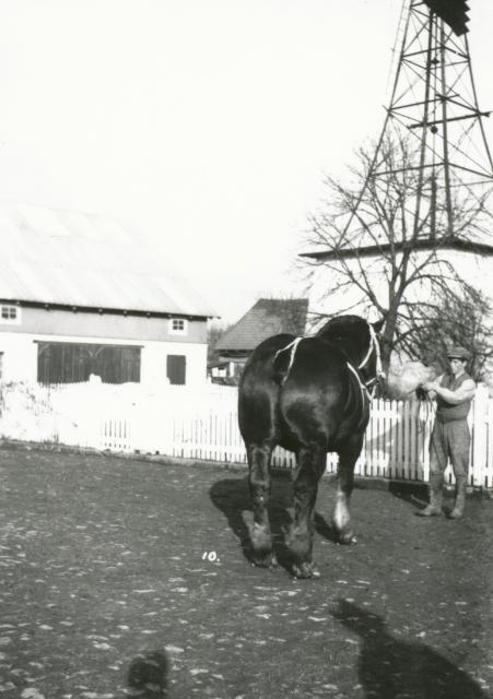 Stubberupholm - 1936 (B8268)