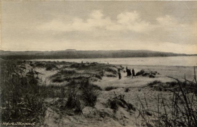 Høve Strand, ca. 1950. I baggrunden Høve Skov (B1399)