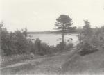 Høve Skov og strand, ca. 1920 (B1416)