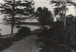 Parti fra Høve Skov og strand ca. 1910 (B1432)